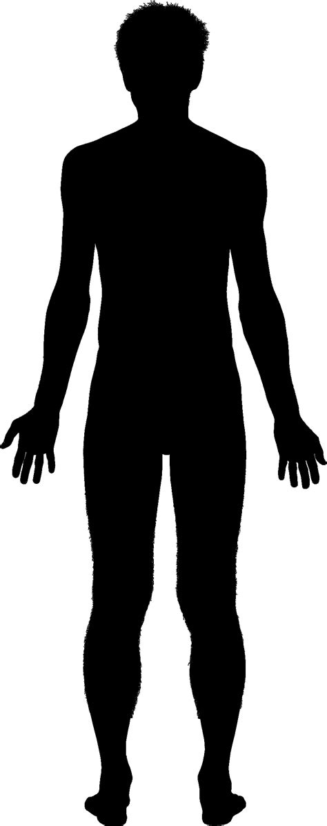 Collection of PNG Human Body Outline. | PlusPNG