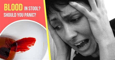 Blood in stool. Should you panic? - Dr Maran - Springfield Wellness ...