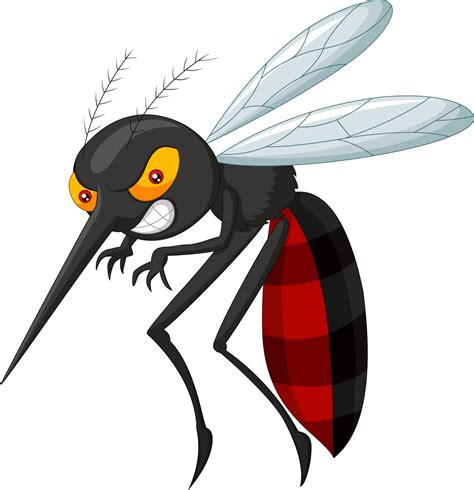 Mosquito Cartoon Vector Art, Icons, and Graphics for Free Download