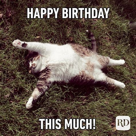 52 Funny Birthday Memes That Will Make Anyone Smile on Their Big Day