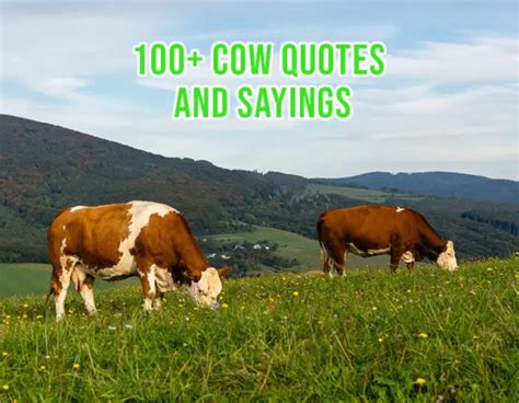 100+ Famous, Inspirational & Funny Cow Quotes and Sayings - Sand Creek Farm