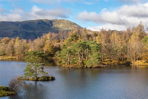 Tarn Hows walk - The Tarns walk - Coniston walks - Lake District walks