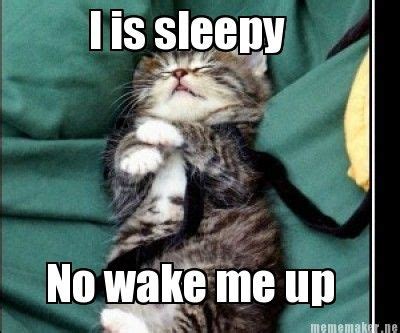 25 Best Sleepy Memes - SayingImages.com | Sleep meme funny, Sleep funny ...