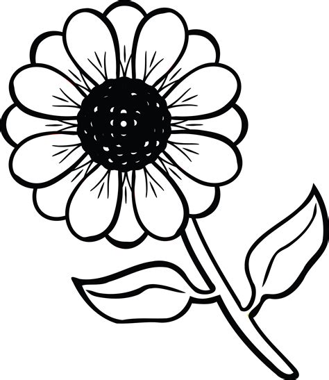 Flowers Black Clipart Hd PNG, Flower Clipart Black And White, Line ...