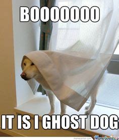 35 Ghost memes ideas | ghost, memes, bones funny