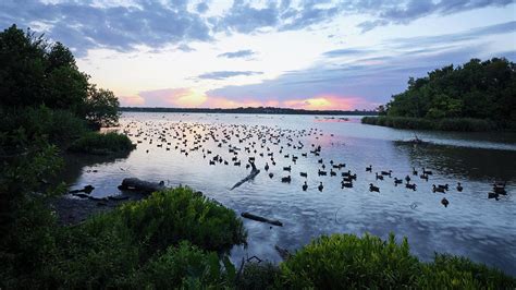 White Rock Lake Sunset 082620 Photograph by Rospotte Photography - Fine ...