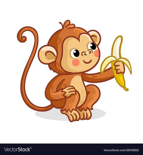 Monkey Eating Banana Vector Cartoon Clipart Illustration 5B4