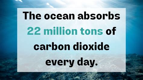 Facts about Ocean Acidification - Ocean Acidification