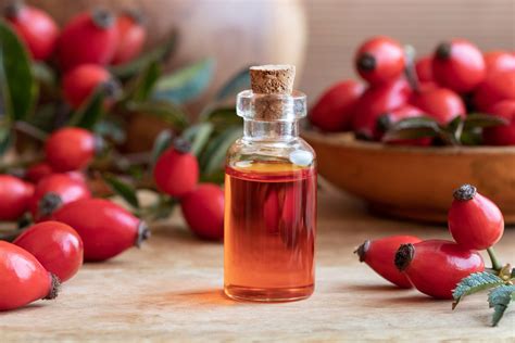 Rosehip Oil Methods to Prevent Hair Loss:Skin Care Top News