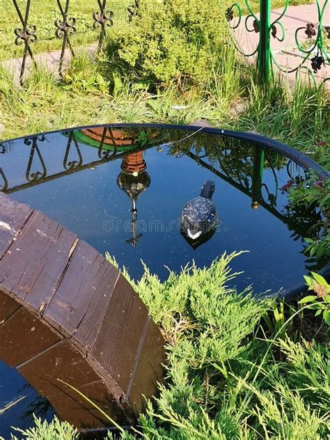 Water of Pond with Reflection of Church in Summer Garden Stock Image ...