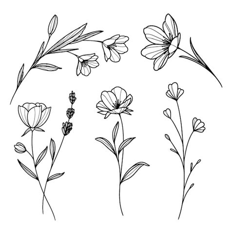 Details more than 83 simple flower sketch images super hot - seven.edu.vn