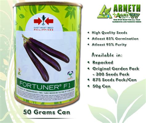 FORTUNER F1 EGGPLANT SEEDS 50g CAN | Lazada PH