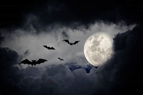 Best Spooky Moon Stock Photos, Pictures & Royalty-Free Images - iStock