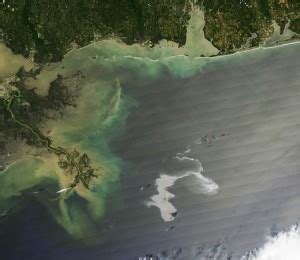 BP Contractors Could Face Fines Over Gulf Oil Spill