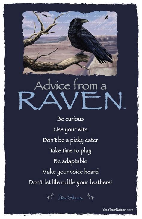 Advice from a Raven - Postcard - Your True Nature | Nature quotes, Crow ...