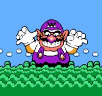 Wario's Woods (place) - Super Mario Wiki, the Mario encyclopedia