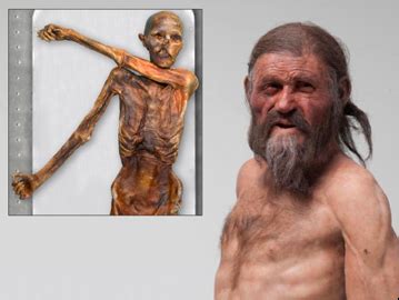 Ötzi The Ice Man: Agriculture Didn’t Do Him Any Favors - Primal Body ...