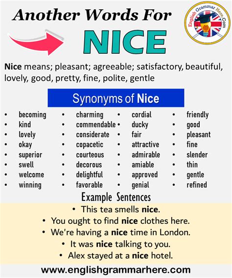 Another word for Nice, What is another, synonym word for Nice? Every ...