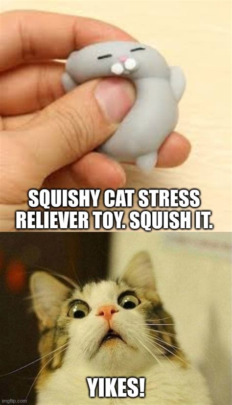 I hope they don't squish an actual cat! - Imgflip