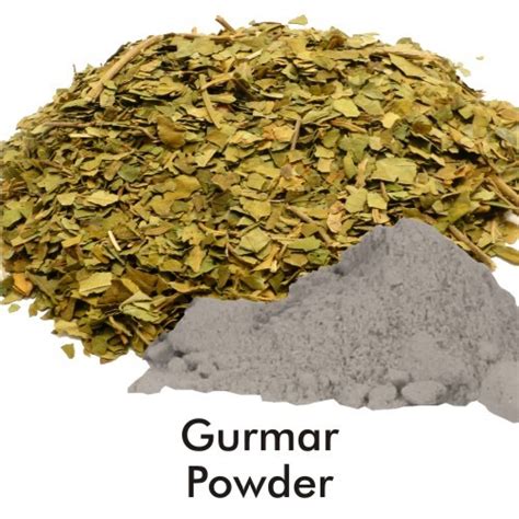 Gurmar Powder at Rs 350/pack | Gymnema Sylvestre Extract Powder in ...