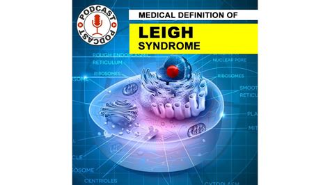 LEIGH SYNDROME. Medical Definition of Leigh syndrome. Causes. Symptoms ...