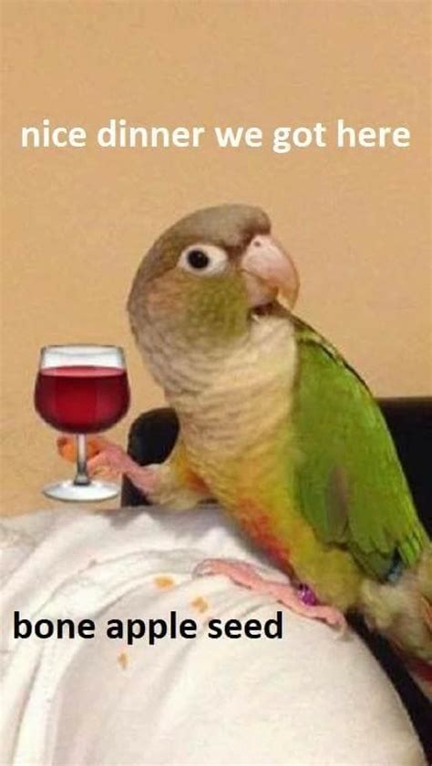 Bon Appetit! Funny Bird Enjoying Wine on Person's Arm