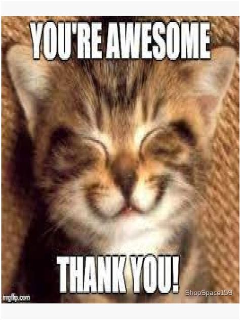 " thank you meme,thank you memes" Poster for Sale by ShopSpace159 ...