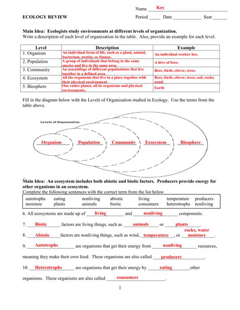 Level Of Organization Worksheet – E Street Light