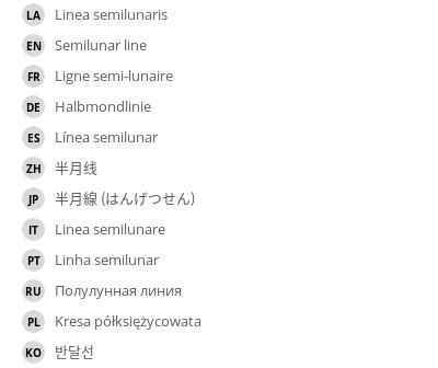 Semilunar line - e-Anatomy - IMAIOS