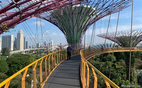 OCBC Skyway Reopens To Public On 7 September 2020 - Little Day Out