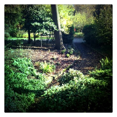 Sheffield Botanical Gardens in Autumn. Peaceful, beautiful and brimming ...