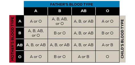 How Do Blood Types Work?