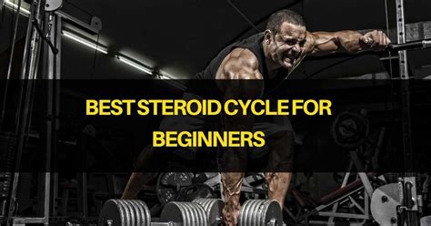 Best Steroid Cycle for Beginners - BODYBUILDING: A VERY EFFECTIVE WAYS ...