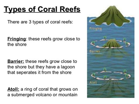 Destruction of wetlands, coral reefs and sea grass beds for coastal ...