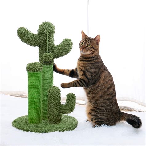 [Sales Promotion] Tall Cactus Scratching Post, Cactus Cat Tree Cat ...