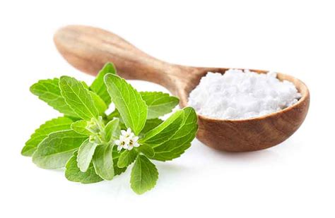 Stevia powder | Ambe NS Agro Products Pvt Ltd. | Ingredients Network