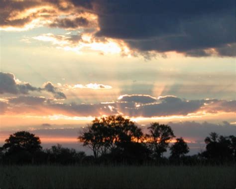 Savannah Sunset by tomlamb on DeviantArt