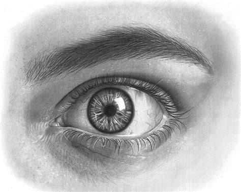 How To Draw An Eye Tutorial - Animalrepair25