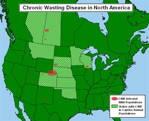 Chronic Wasting Disease Maps