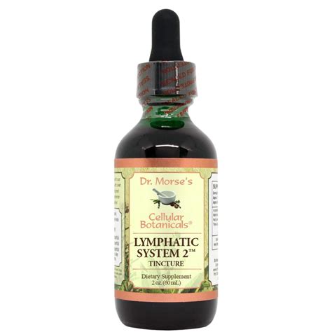 Dr. Morse's Lymphatic System 2™ Tincture - Spirit of Health Store