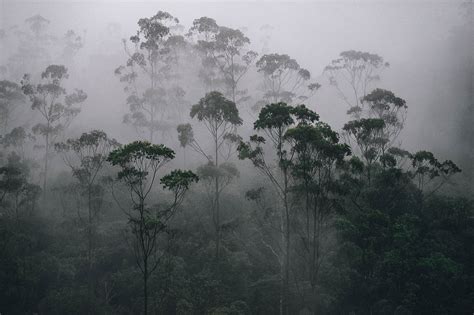 Guide to Monsoon Season in India – ETG Blog - ETG Blog