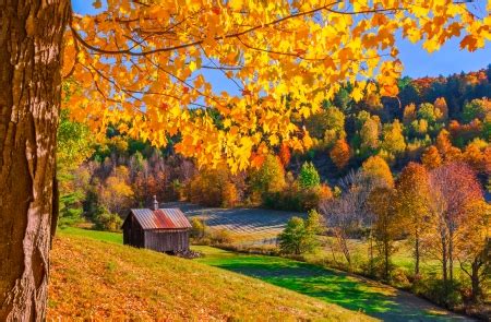 Autumn in Vermont - Other & Nature Background Wallpapers on Desktop ...