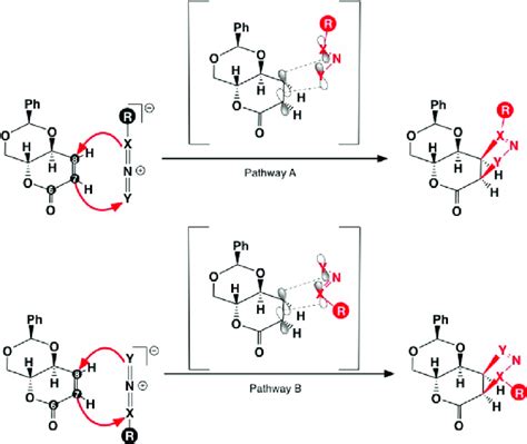 Possible catalytic mechanisms of lactone 1 with 1,3-dipoles. Y, X = N ...