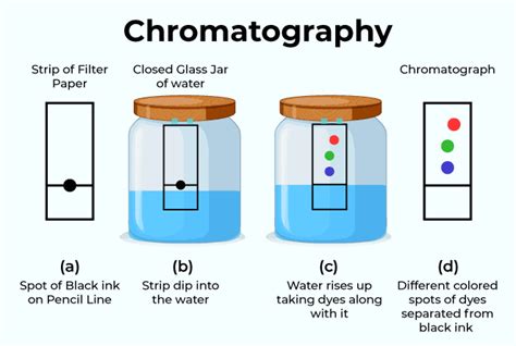 Chromatography