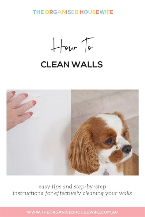 How to clean walls | The Organised Housewife