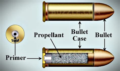 Parts of a Bullet: Understanding Ammunition