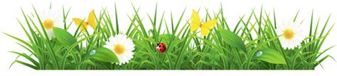 Spring border png, Spring border png Transparent FREE for download on ...