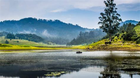 Kodaikanal: Places To Visit In The Kodaikanal, One of South India's ...