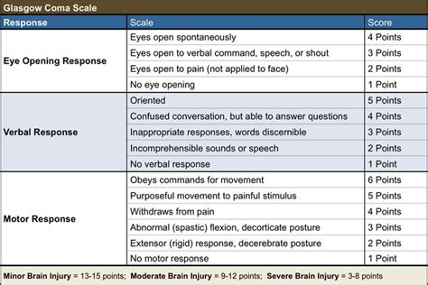 printable glasgow coma scale - Google Search | Glasgow coma scale ...