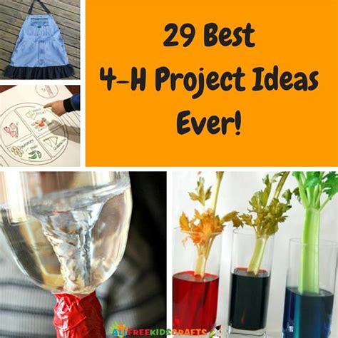 44 Best 4-H Project Ideas Ever | 4 h clover, 4 h club, 4 h